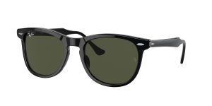 rayban_0rb2398f_901_31_black_ref