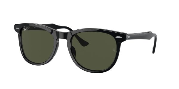 Ray-ban Eagleeye RB2398F