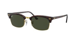 rayban_0rb3916_130431_tortoise_ref