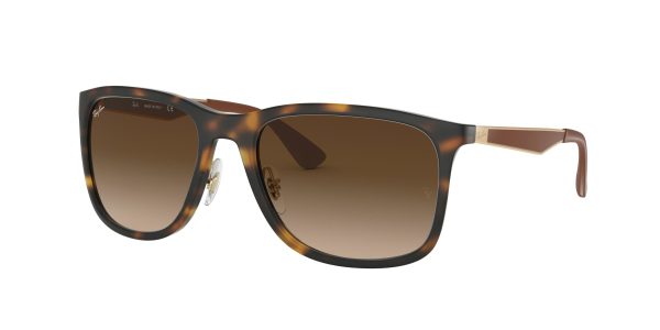 Ray-ban  RB4313