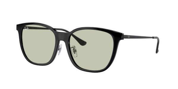 Ray-ban  RB4333D