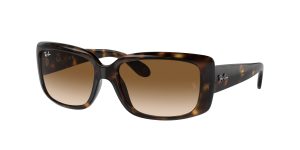 rayban_0rb4389_710_51_havana_ref