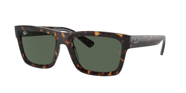 Ray-ban Warren RB4396