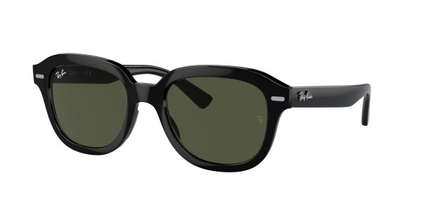 Ray-ban Erik RB4398