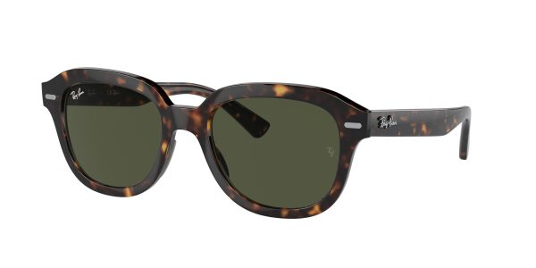 Ray-ban Erik RB4398