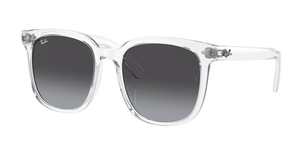 Ray-ban  RB4401D