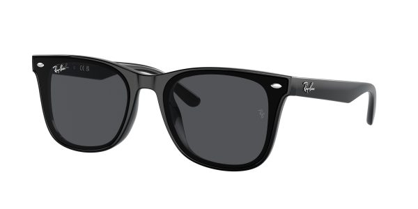 Ray-ban  RB4420