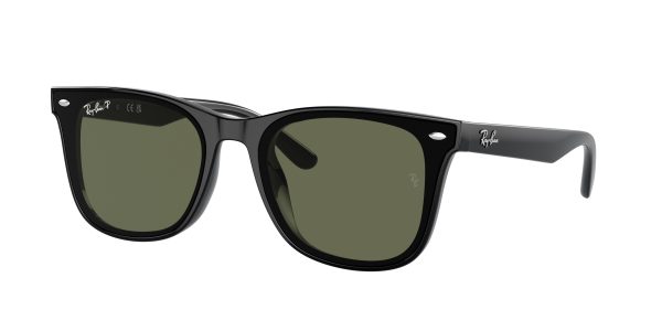 Ray-ban  RB4420