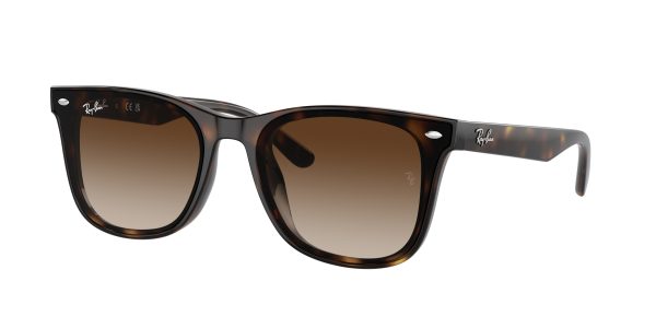 Ray-ban  RB4420