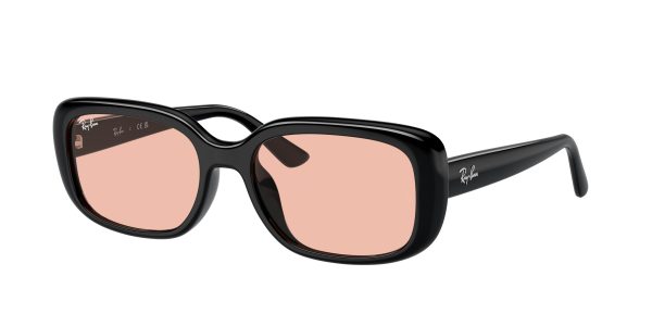 Ray-ban  RB4421D