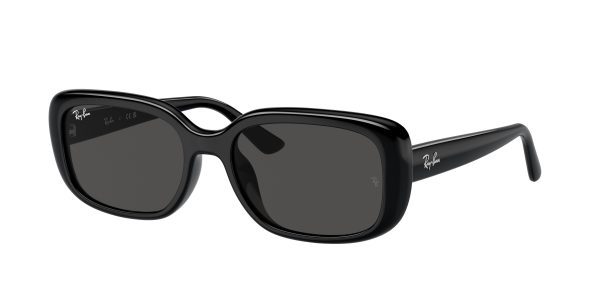 Ray-ban  RB4421D