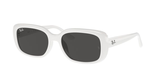 Ray-ban  RB4421D