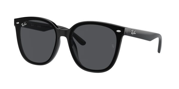 Ray-ban  RB4423D