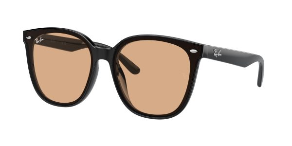 Ray-ban  RB4423D