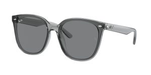 rayban_0rb4423d_645087_transparent_grey_ref