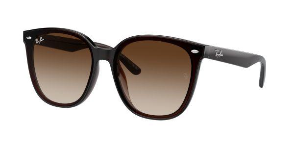 Ray-ban  RB4423D