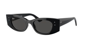 rayban_0rb4427_667787_black_ref