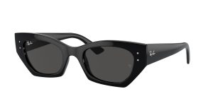 rayban_0rb4430_667787_black_ref