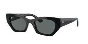 rayban_0rb4430f_667781_black_polarized_ref