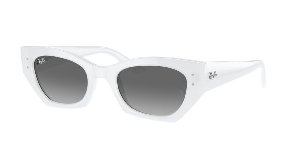 Ray-ban Zena RB4430F