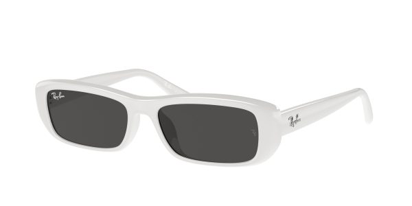 Ray-ban  RB4436D