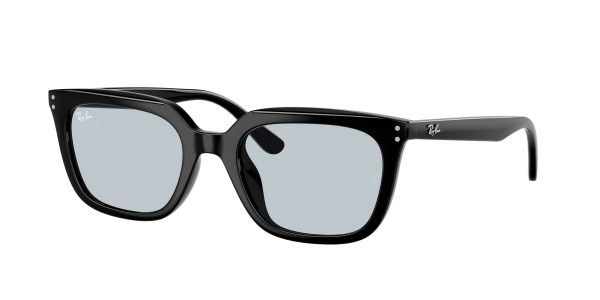 Ray-ban  RB4439D