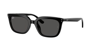 rayban_0rb4439d_901_87_black_ref