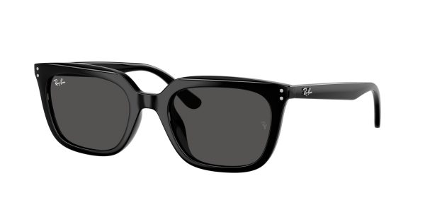 Ray-ban  RB4439D