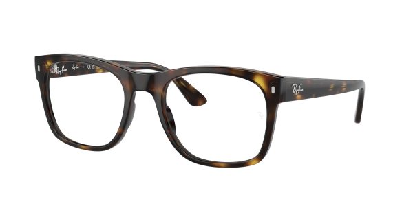 Ray-ban  RX7228F