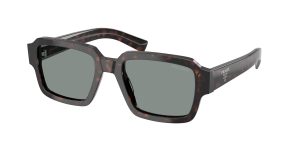 prada_0pr_02zs_17n20n_root_tortoise_ref