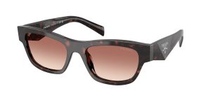 prada_0pr_b09s_17n50l_root_tortoise_ref