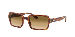 rayban_0rb2189_954_51_striped_havana_ref