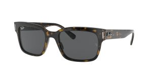 rayban_0rb2190_1292b1_havana_on_transparent_brown_ref