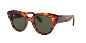 rayban_0rb2192_954_31_striped_havana_ref