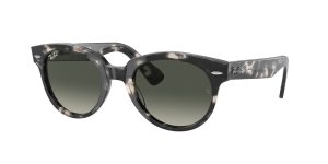 rayban_0rb2199_133371_grey_havana_ref