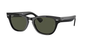 rayban_0rb2201_901_31_black_ref