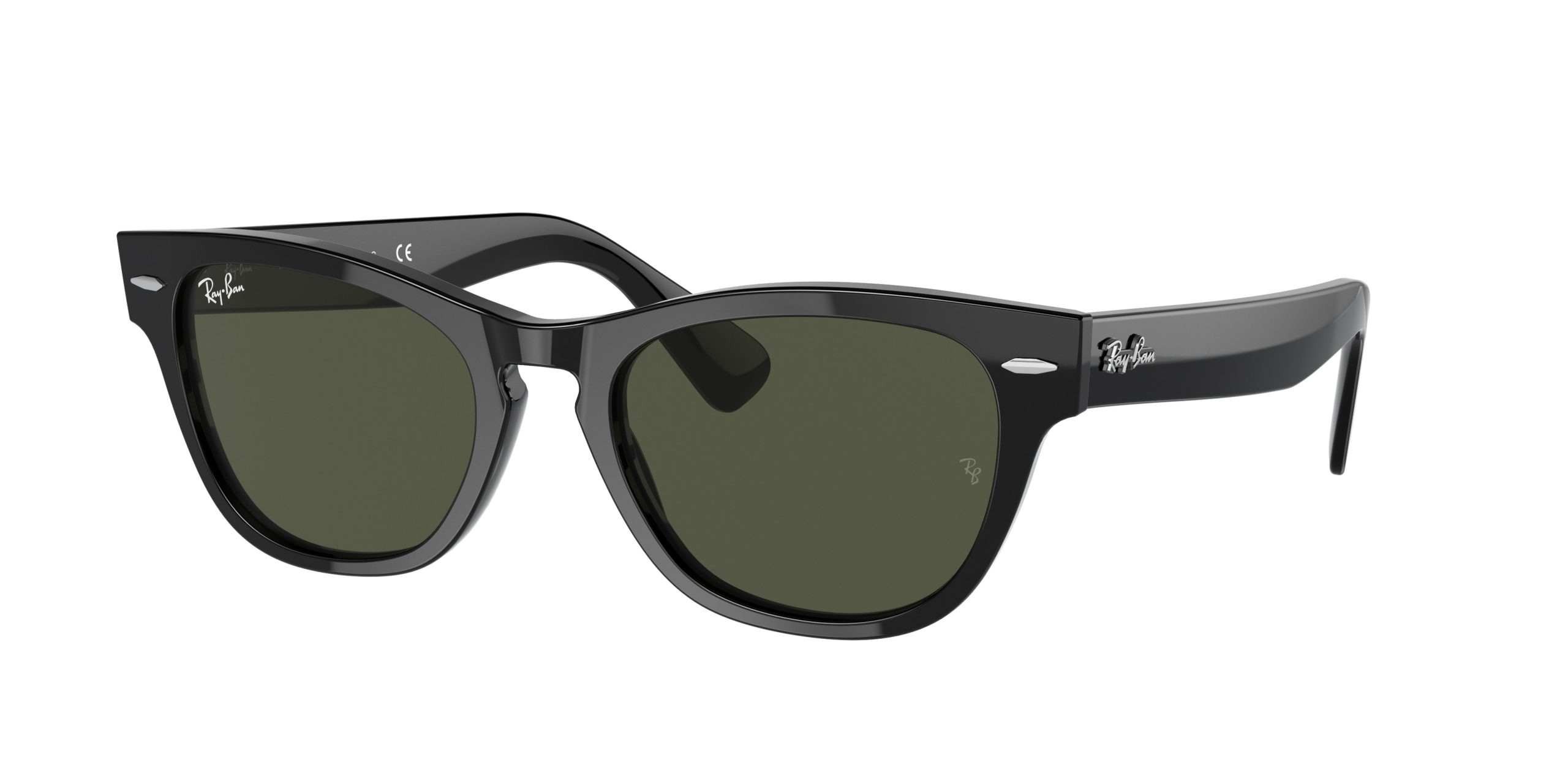 Ray-ban Laramie RB2201