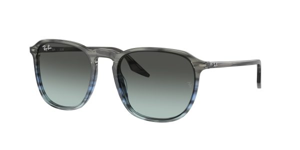 Ray-ban  RB2203