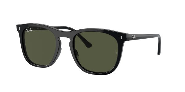 Ray-ban  RB2210F