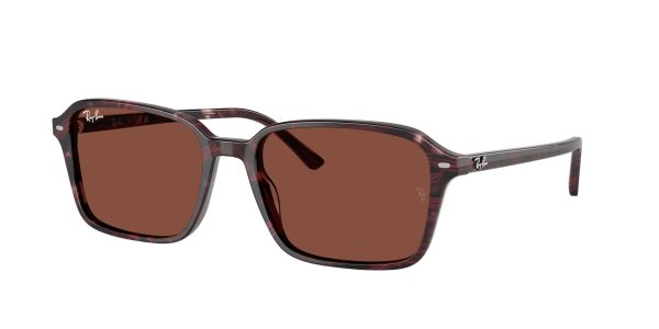 Ray-ban Raimond RB2231