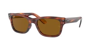 rayban_0rb2283_954_33_striped_havana_ref