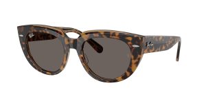 rayban_0rb2286_1292b1_havana_on_transparent_brown_ref