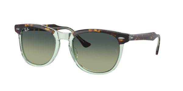 Ray-ban Eagleeye RB2398