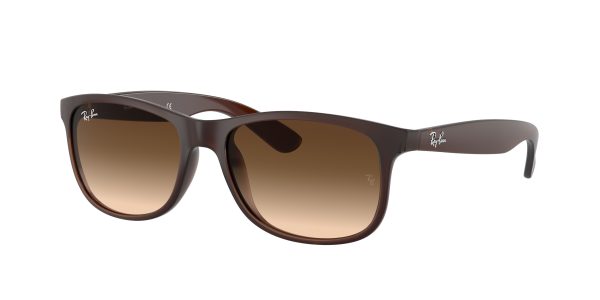 Ray-ban Andy RB4202