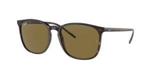 rayban_0rb4387f_902_73_tortoise_ref