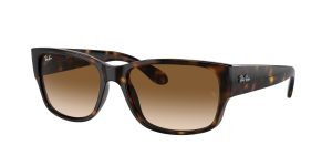 rayban_0rb4388_710_51_havana_ref