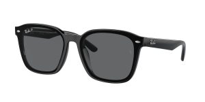 rayban_0rb4392d_601_81_black_polarized_ref