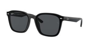 rayban_0rb4392d_601_87_black_ref