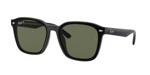 rayban_0rb4392d_601_9a_black_polarized_ref