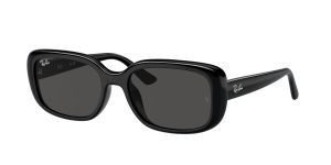 rayban_0rb4421d_667787_black_ref